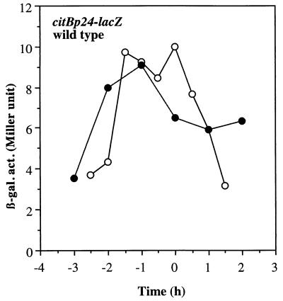 FIG. 6