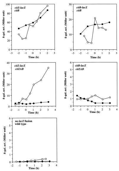 FIG. 7