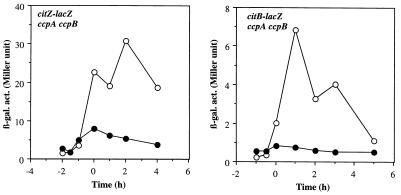 FIG. 5