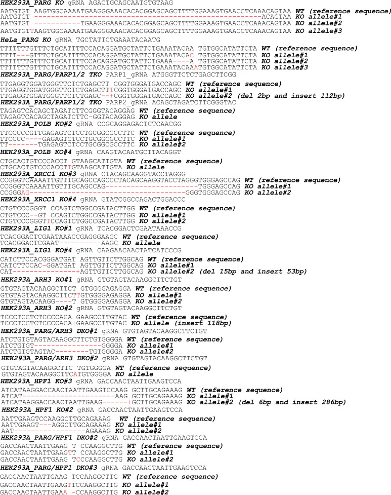 Figure 7—figure supplement 1.