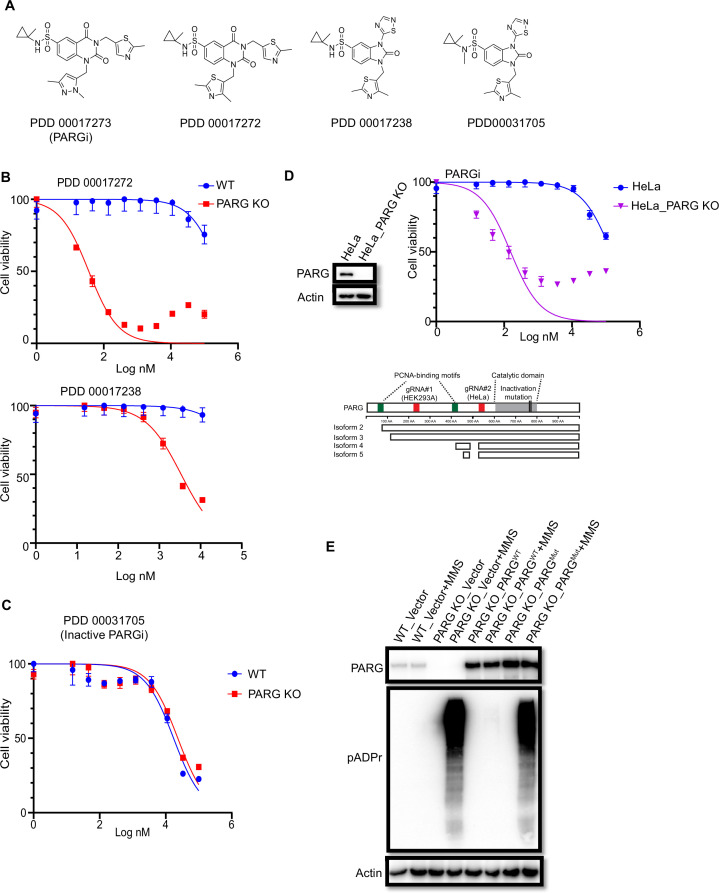 Figure 1—figure supplement 1.