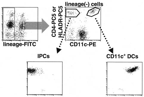 FIG. 1.