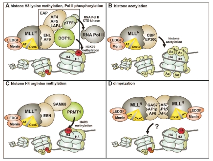 Figure 3.