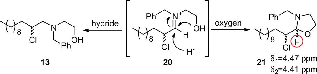 Scheme 4