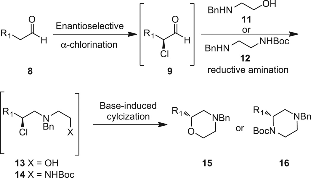 Scheme 2