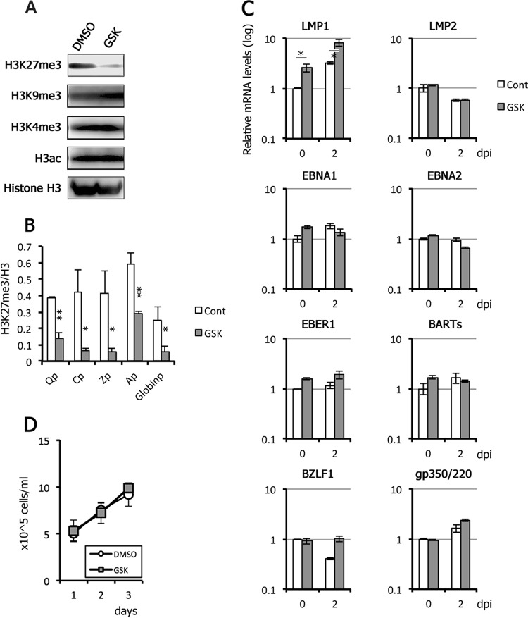 FIG 9