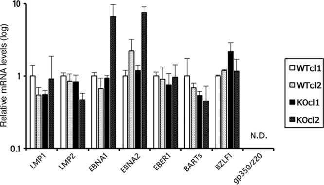 FIG 3