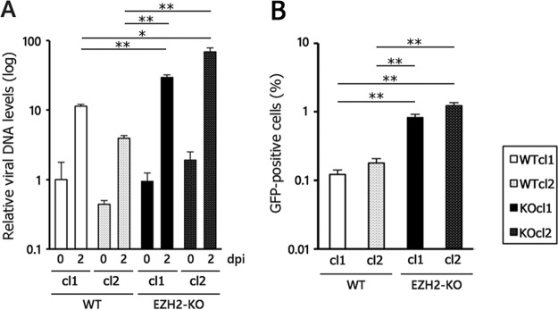 FIG 6