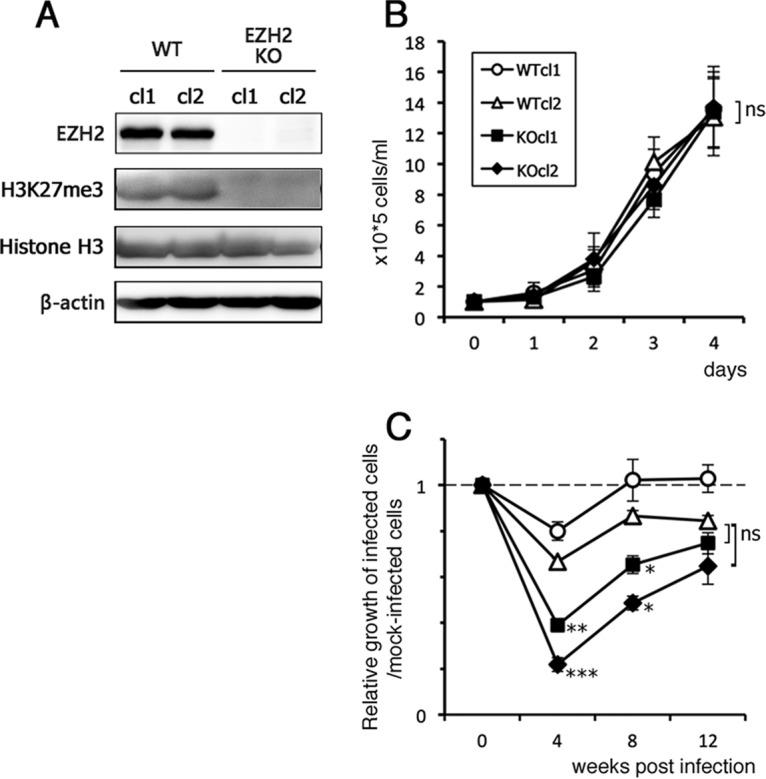 FIG 2