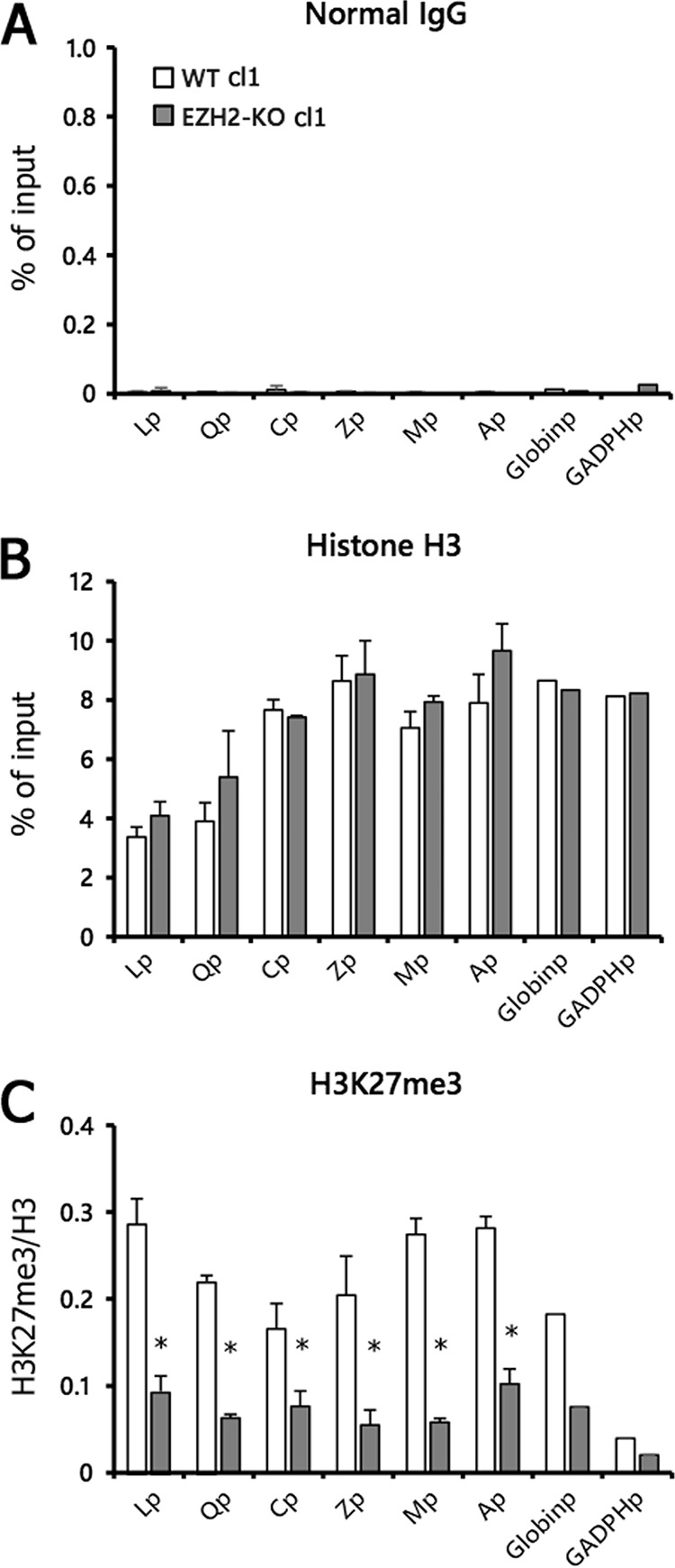 FIG 4