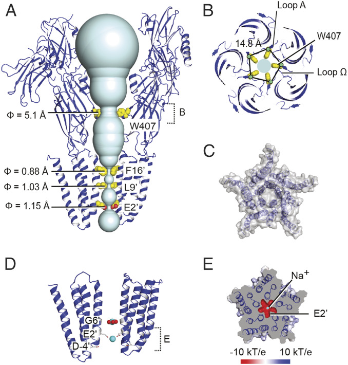 Fig. 2.