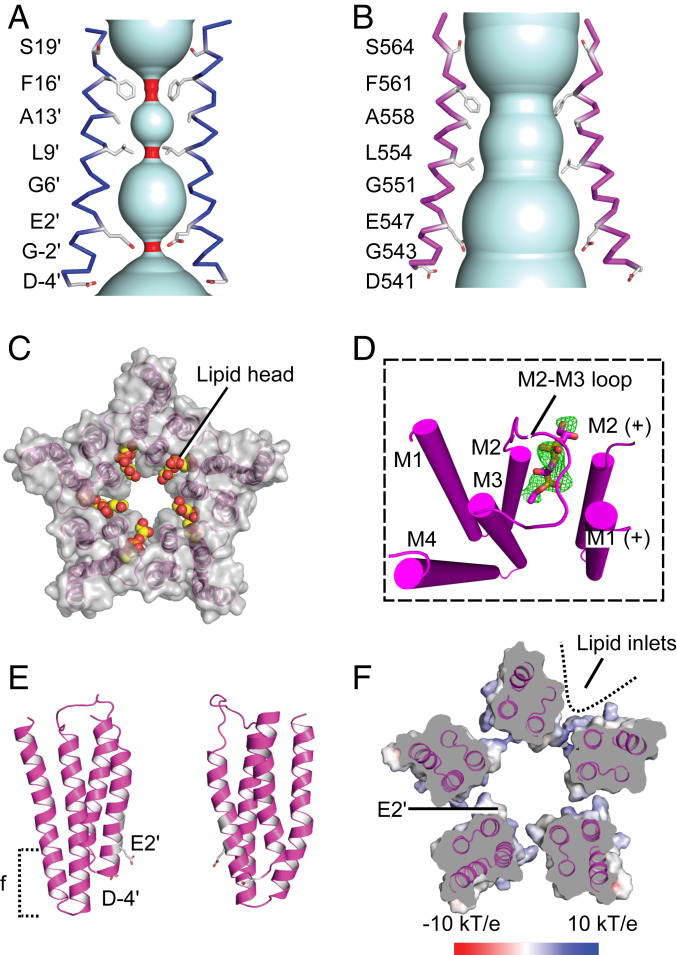 Fig. 6.