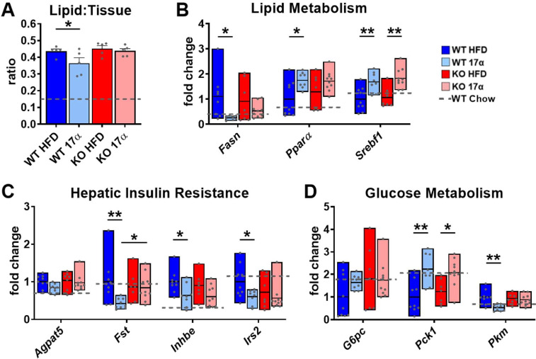 Figure 4—figure supplement 1.