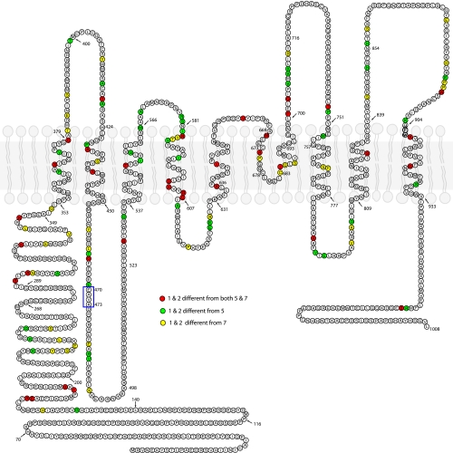 Fig. 6.