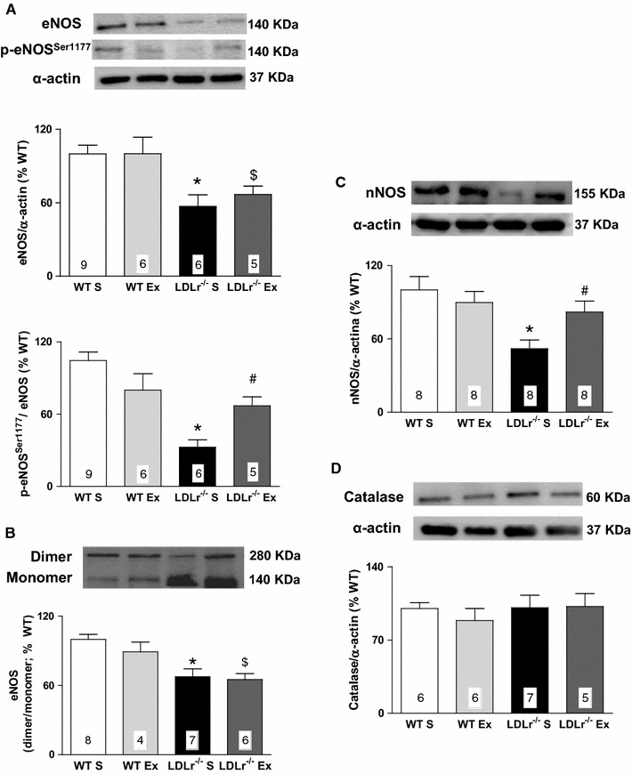 Fig. 4