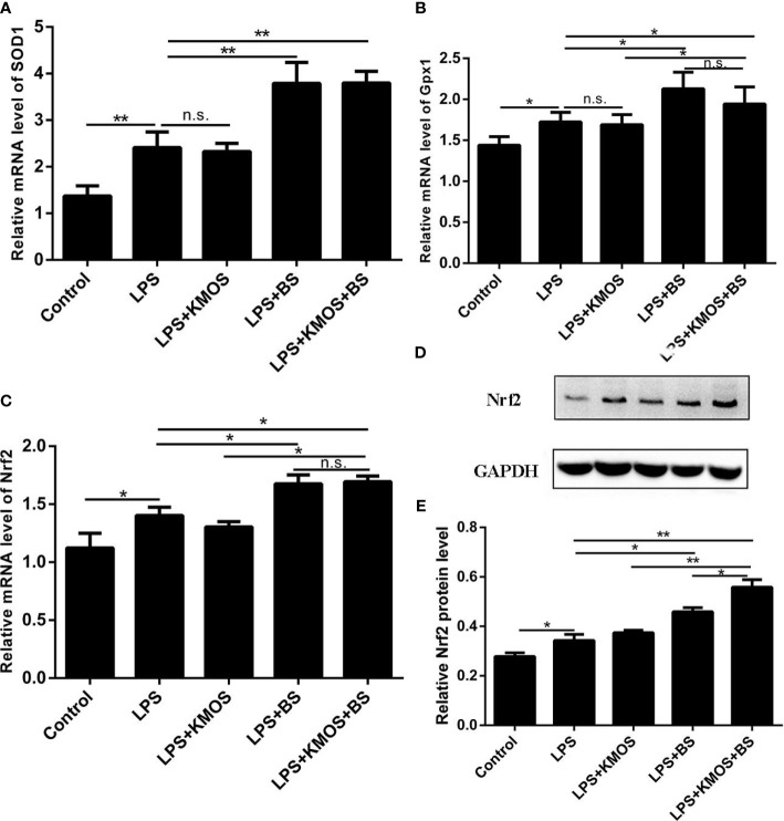 Figure 3