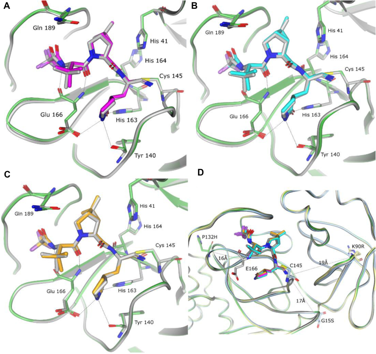 Figure 2