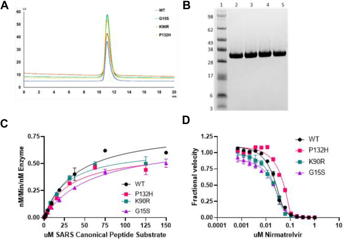 Figure 1