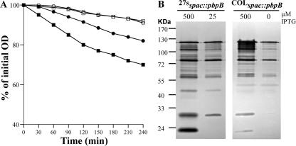 FIG. 5.