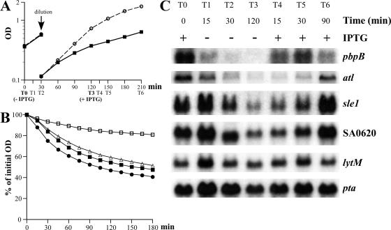 FIG. 7.