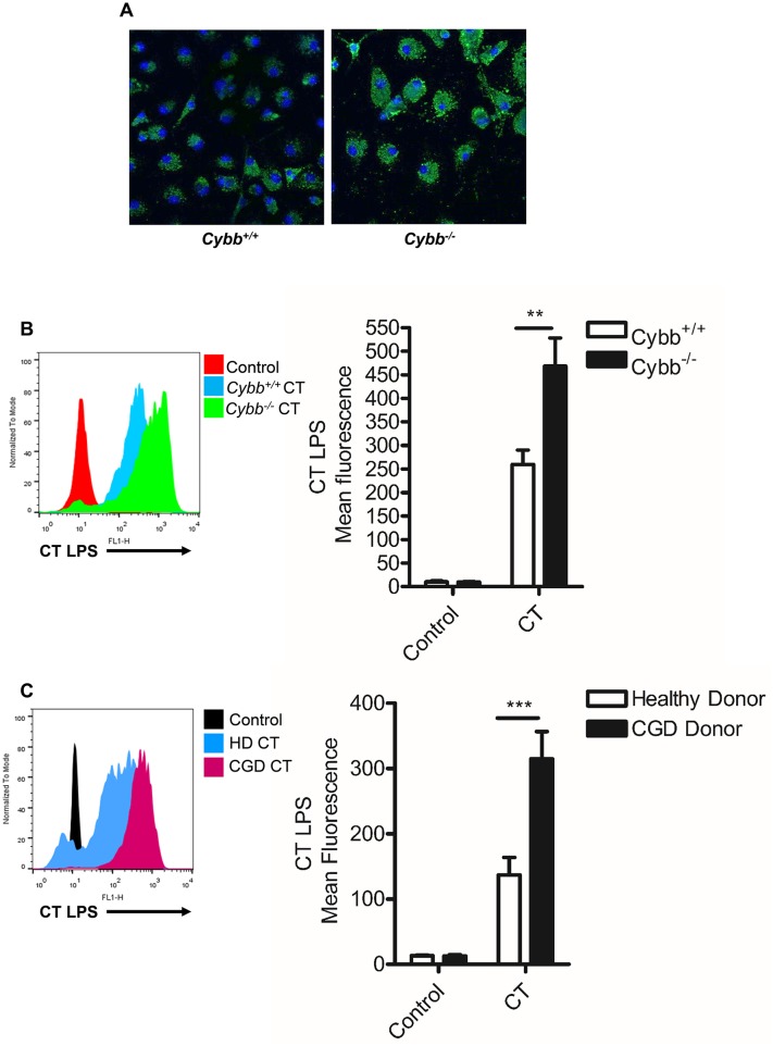 Fig 4