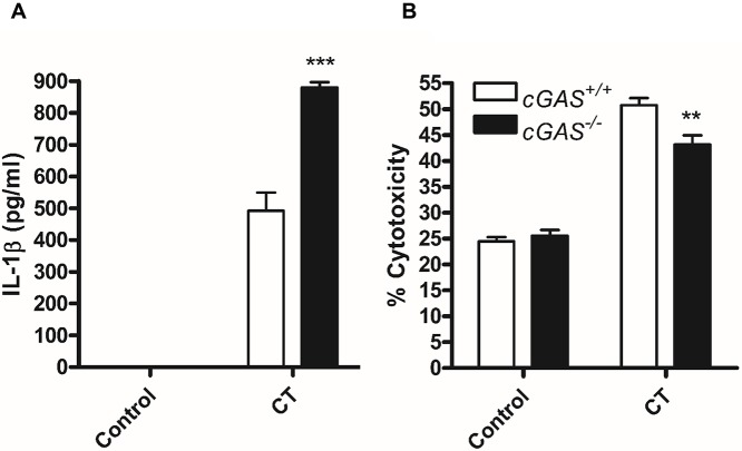 Fig 8