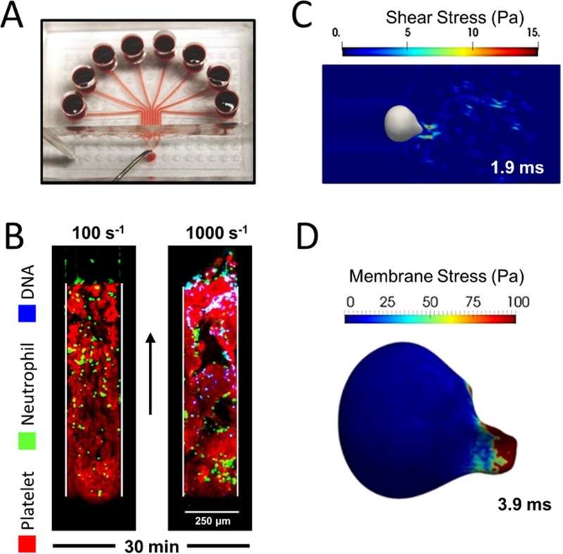 FIG. 4.