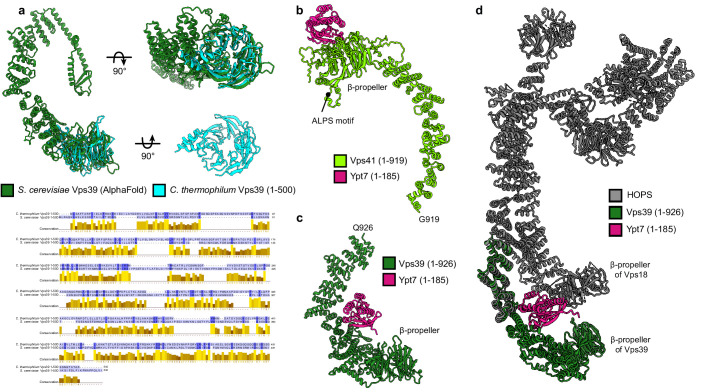 Figure 3—figure supplement 1.