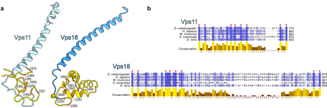 Figure 2—figure supplement 1.