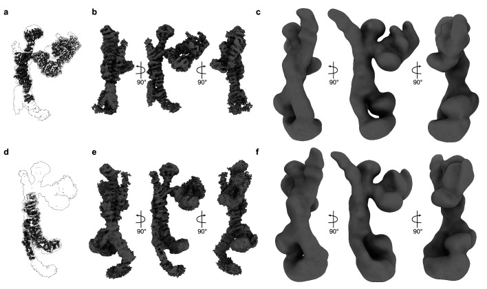 Figure 1—figure supplement 2.