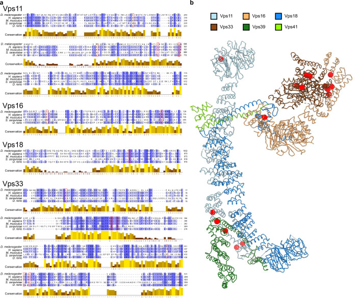 Figure 4—figure supplement 1.