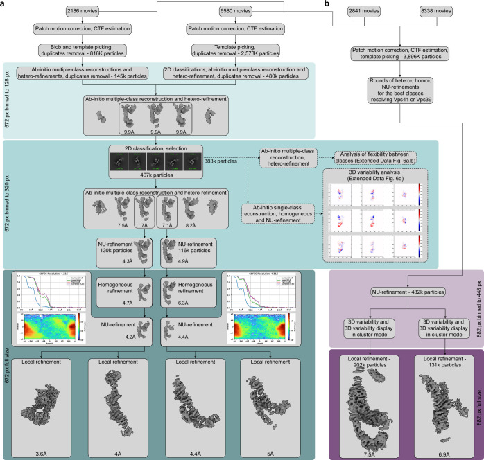 Figure 1—figure supplement 1.