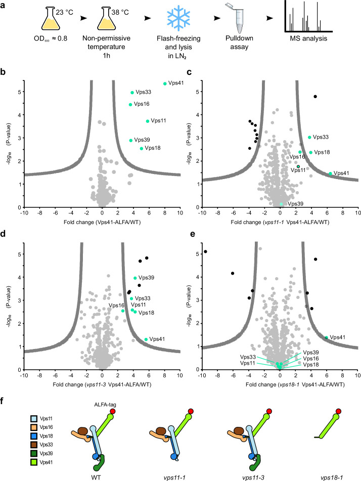 Figure 2—figure supplement 2.