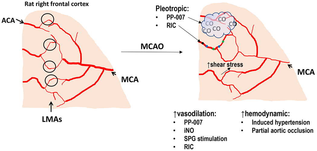 Figure 6: