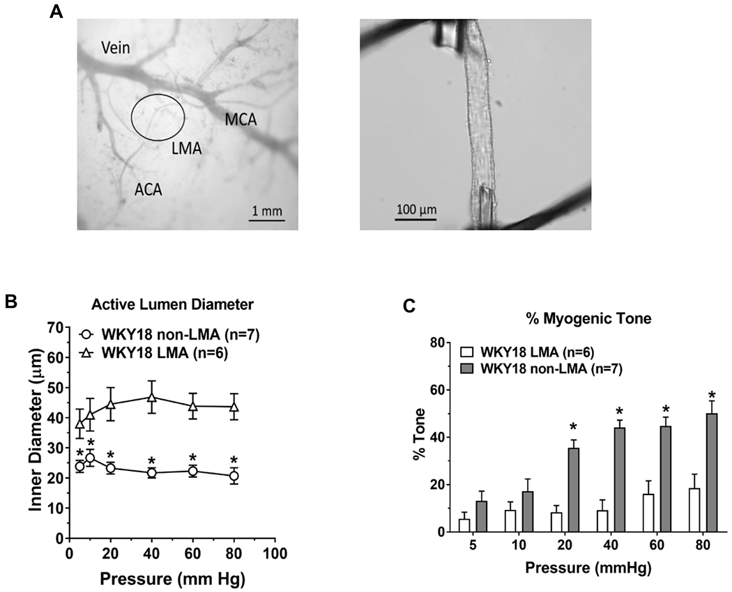 Figure 2: