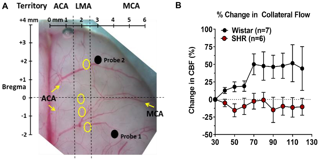 Figure 4: