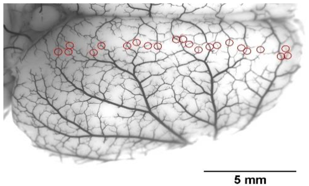 Figure 1: