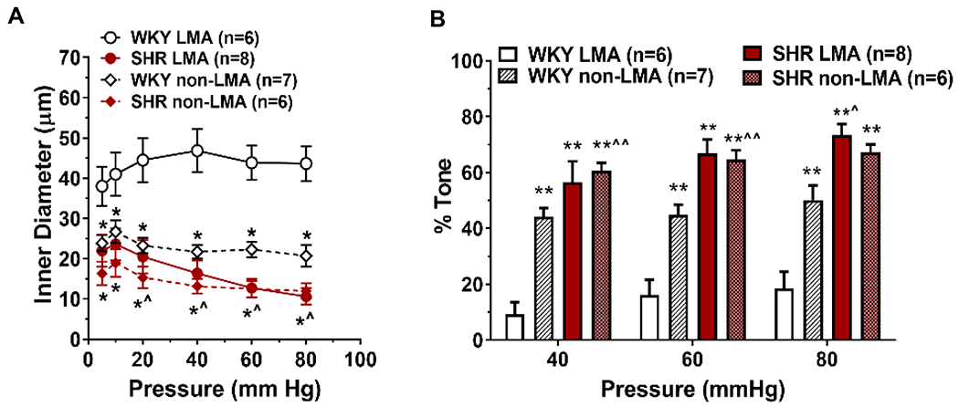 Figure 5: