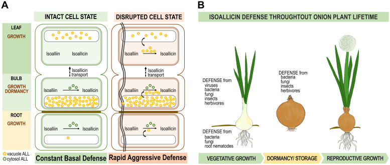 Figure 6