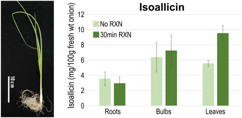 Figure 5