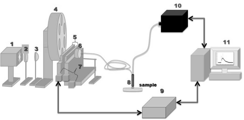 Fig. 1