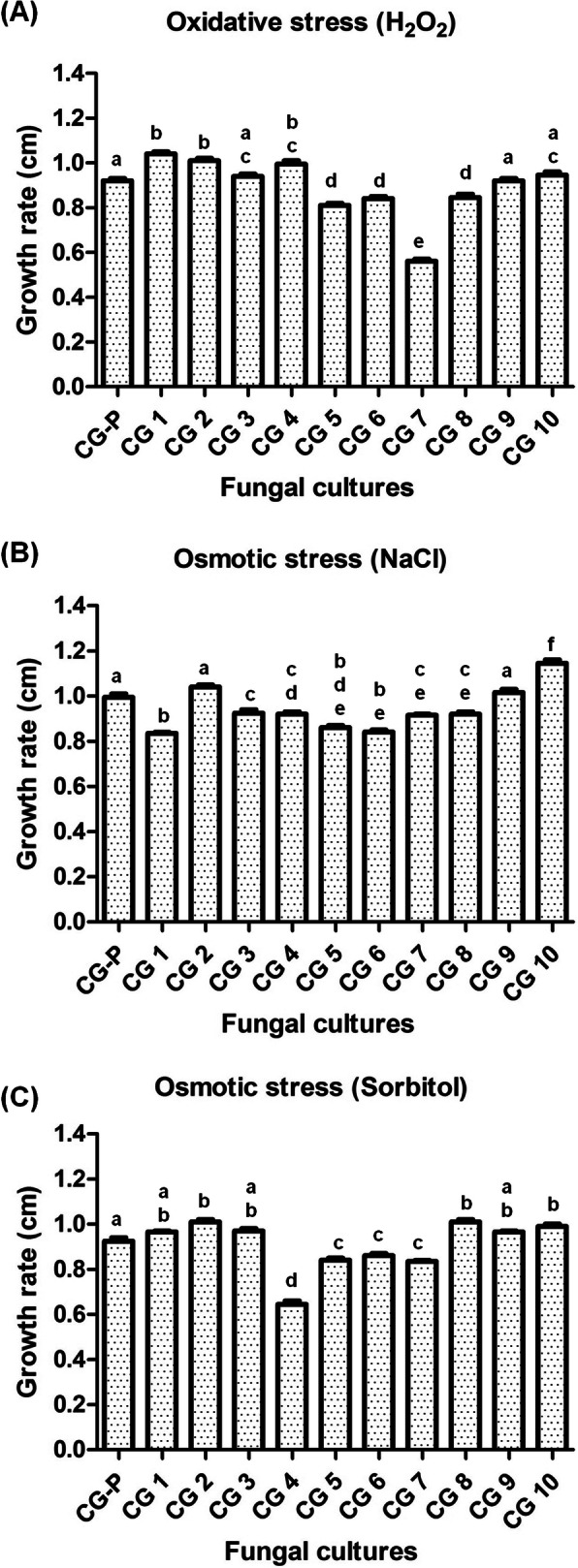 Fig. 9