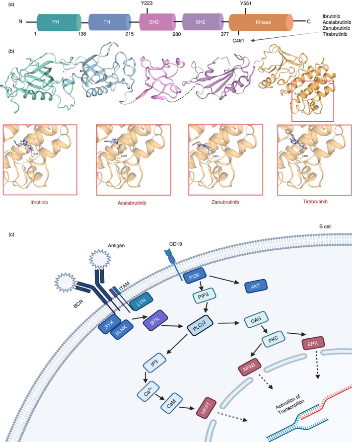 FIGURE 2