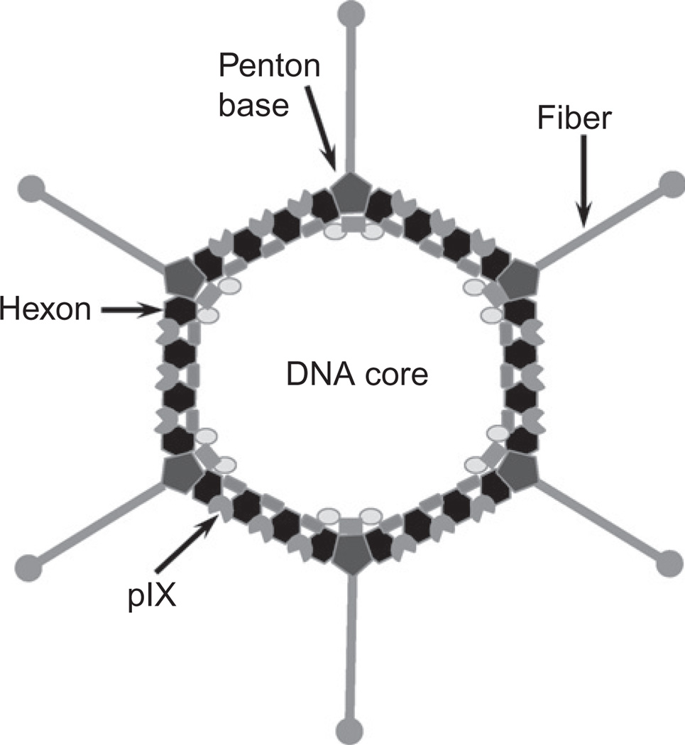 Figure 2.1