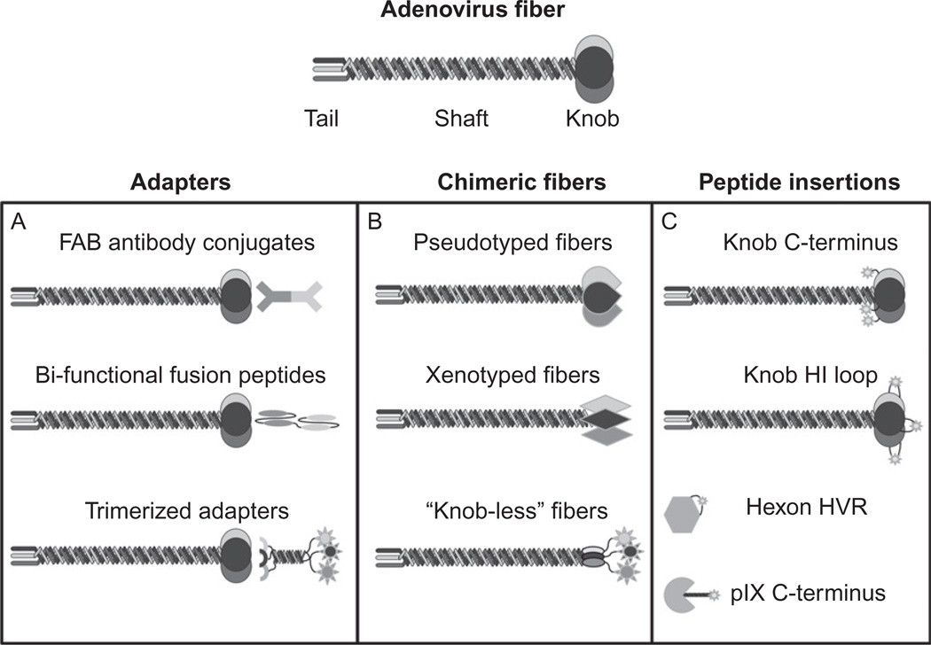 Figure 2.2