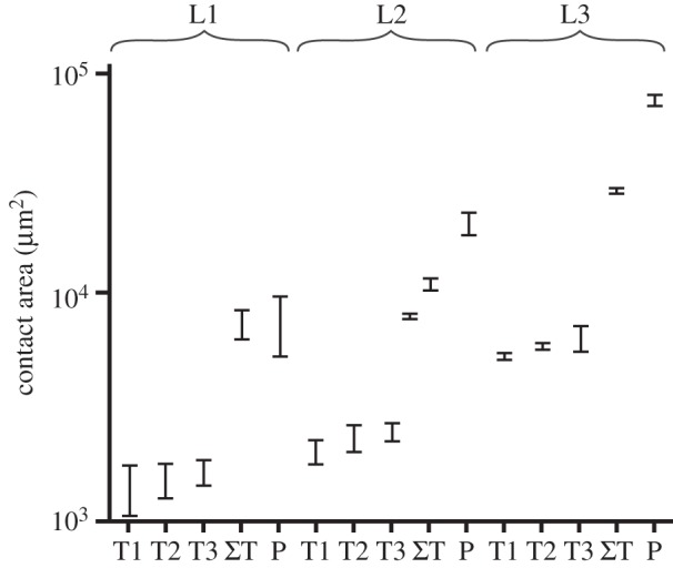 Figure 2.