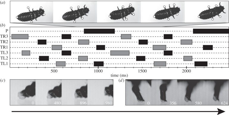 Figure 3.