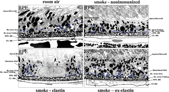 Figure 5.