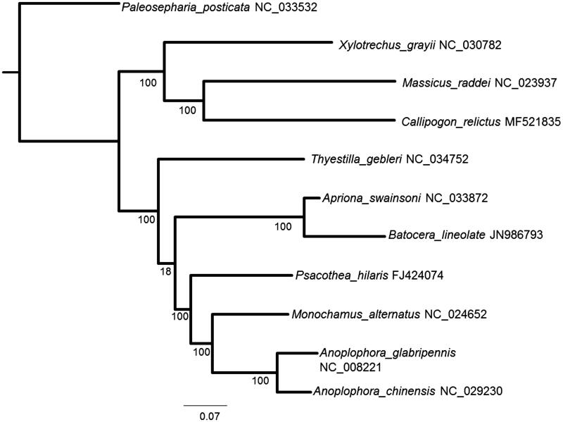 Figure 1.