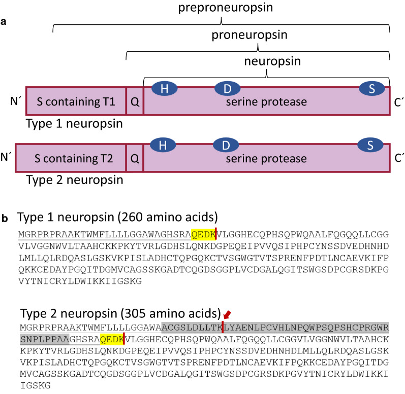 Fig. 3